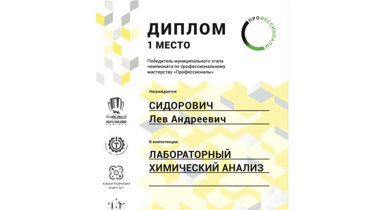 Ученик 9 класса одержал победу в муниципальном чемпионате «Профессионалы»!